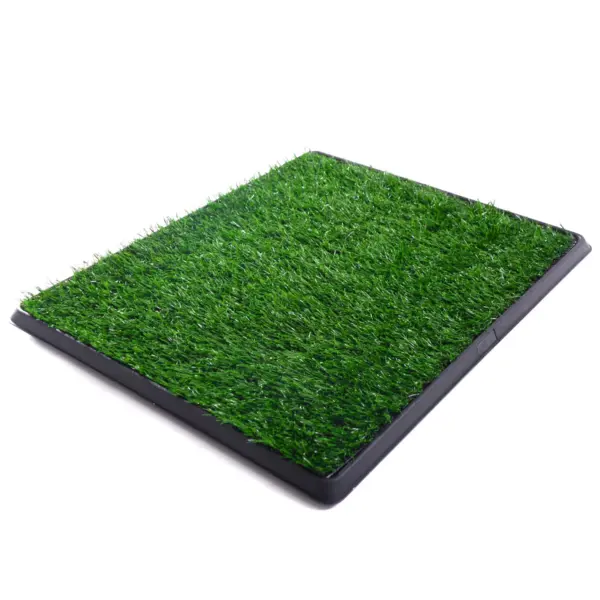 Artificial Dog Grass Mat, Indoor Potty Training, Pee Pad for Pet - Image 2