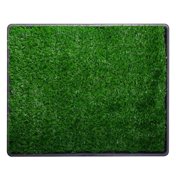 Artificial Dog Grass Mat, Indoor Potty Training, Pee Pad for Pet - Image 5