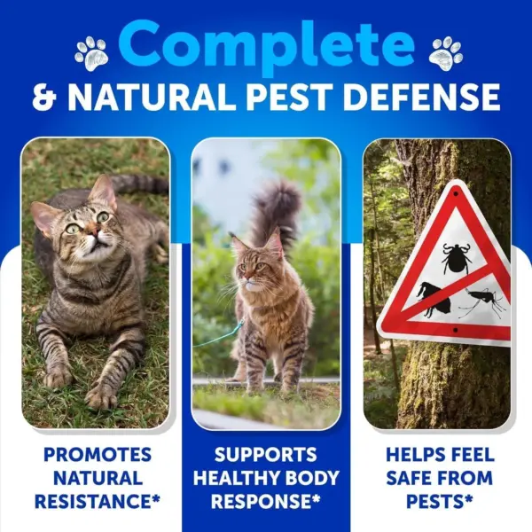 Flea Treatment for Cats Natural Flea and Tick Prevention Supplement for Cats Kittens Chewable Daily Oral Pills with Vitamins 135 Soft Chews Skin & Coat Dental treats Digestion - Image 3