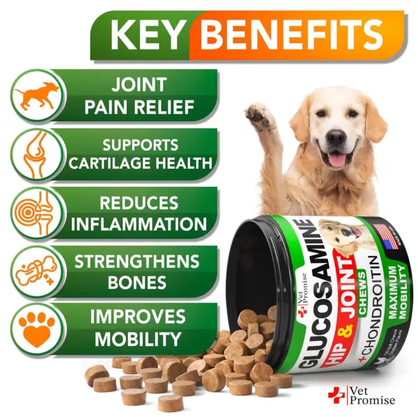 Glucosamine for Dogs Hip and Joint Supplement for Dogs Chondroitin for Dogs Dog Joint Pain Relief Treats with MSM Hemp 120 Mobility Chews - Image 2