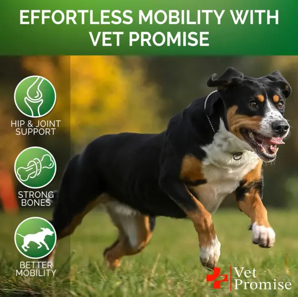 Glucosamine for Dogs Hip and Joint Supplement for Dogs Chondroitin for Dogs Dog Joint Pain Relief Treats with MSM Hemp 120 Mobility Chews - Image 4