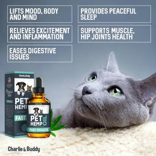 Hеmp Оil Dogs Cats Helps Pets with Аnxiеty Pаin Strеss Slееp Аrthritis Sеizures Rеlief Нiр Jоint Hеalth Cаlming Trеats - Image 4