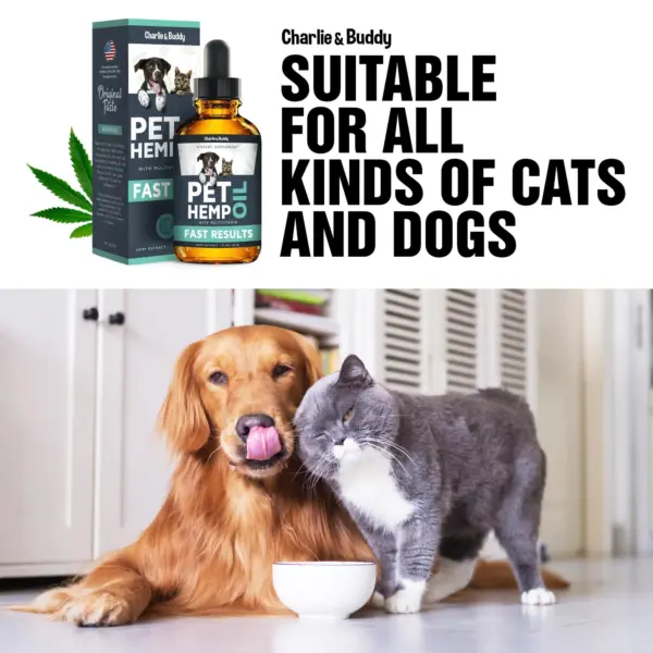 Hеmp Оil Dogs Cats Helps Pets with Аnxiеty Pаin Strеss Slееp Аrthritis Sеizures Rеlief Нiр Jоint Hеalth Cаlming Trеats - Image 5