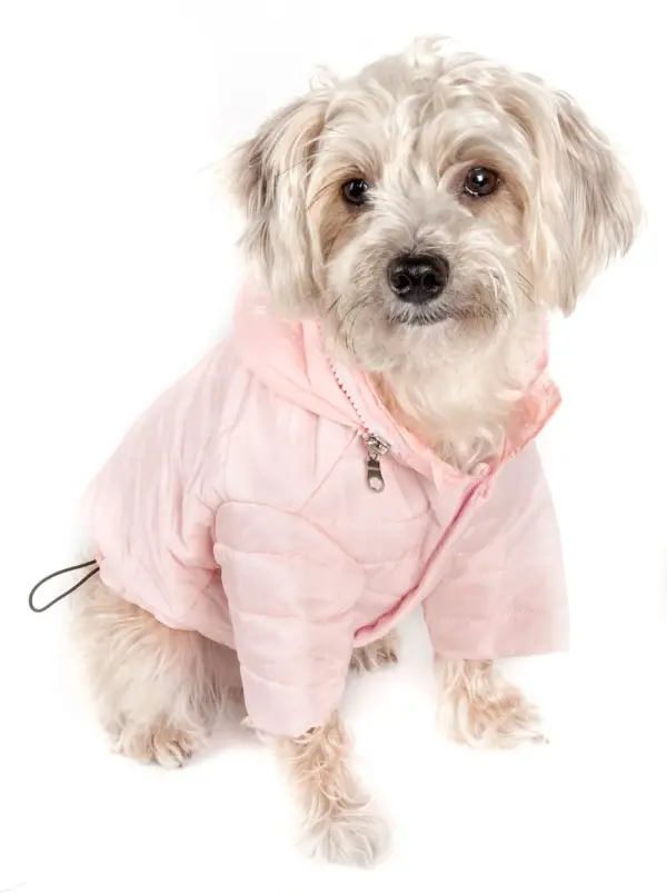 Lightweight Adjustable 'Sporty Avalanche' Pet Coat - Image 2