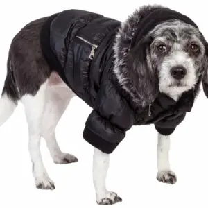 Metallic Fashion Pet Parka Coat