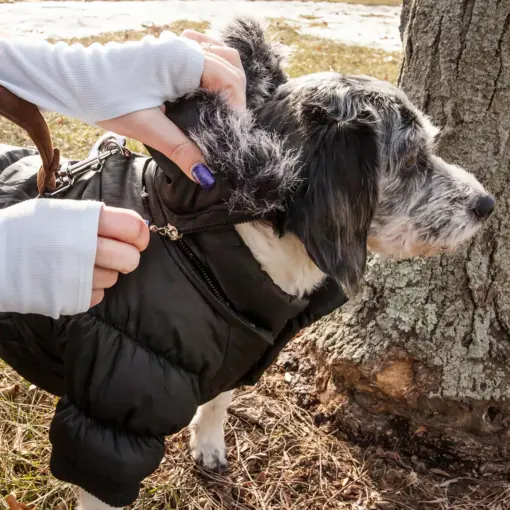 Metallic Fashion Pet Parka Coat - Image 7