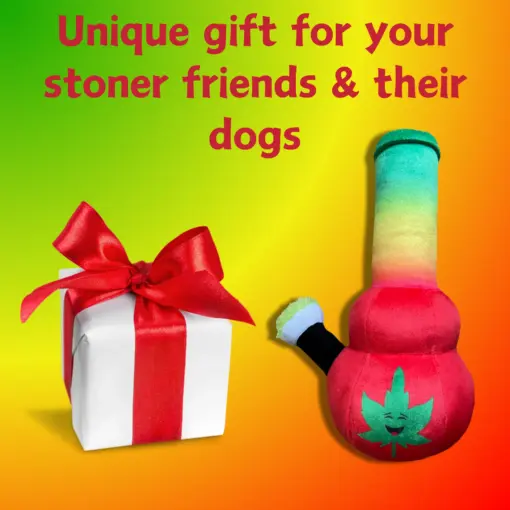 My Name is Bo da Bong, Funny Squeaky Weed Dog Toy, Cute Stuffed Parody Rasta Pot Bong, Cool Plush 420 Novelty Gift for Puppies & Small, Medium & Large Breeds, for Fetch & a Photo Prop - Image 6