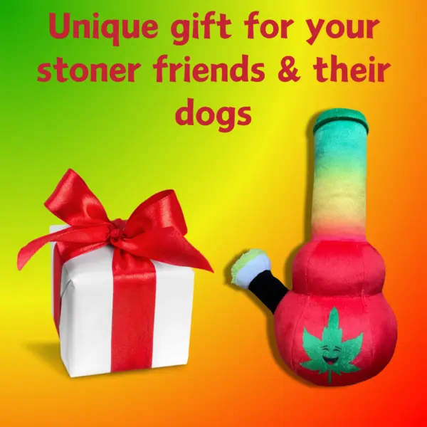 My Name is Bo da Bong, Funny Squeaky Weed Dog Toy, Cute Stuffed Parody Rasta Pot Bong, Cool Plush 420 Novelty Gift for Puppies & Small, Medium & Large Breeds, for Fetch & a Photo Prop - Image 6