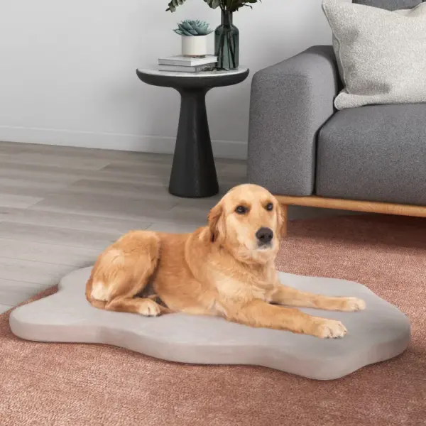 Orthopedic Dog Bed with Memory Foam Support for Large Dogs - Image 2